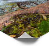 Herfsten van karnemelk, Cuyahoga Valley NP, Ohio Poster (Hoek)