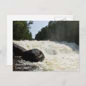 Herfsten van karnemelk, Lange Lake, NY Briefkaart (Voorkant / Achterkant)