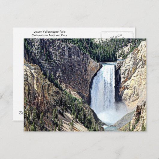 Herfsten van laaggeelsteen briefkaart (Voorkant / Achterkant)