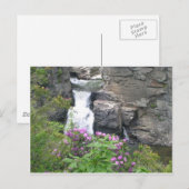 Herfsten van Linville, Noordkarolina Briefkaart (Voorkant / Achterkant)