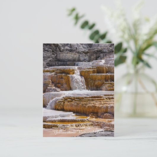 Herfsten van Mammoth Springs Briefkaart (Staand voorkant)