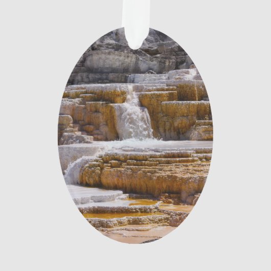 Herfsten van Mammoth Springs Ornament (achterkant)