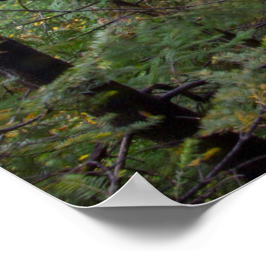 Herfsten van mijnwerkers, Michigan Poster (Hoek)