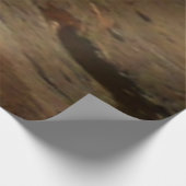 Herfsten van Ohiopyle in Pennsylvania Houten Poster (Hoek)