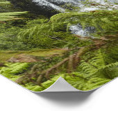 Herfsten van Owharoa, Karangahake Gorge, bij Paero Poster (Hoek)