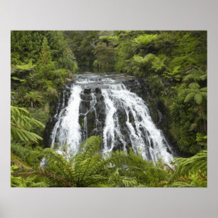 Herfsten van Owharoa, Karangahake Gorge, bij Paero Poster