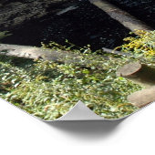 Herfsten van Raymondvaardigheid in de Poconos. dru Poster (Hoek)