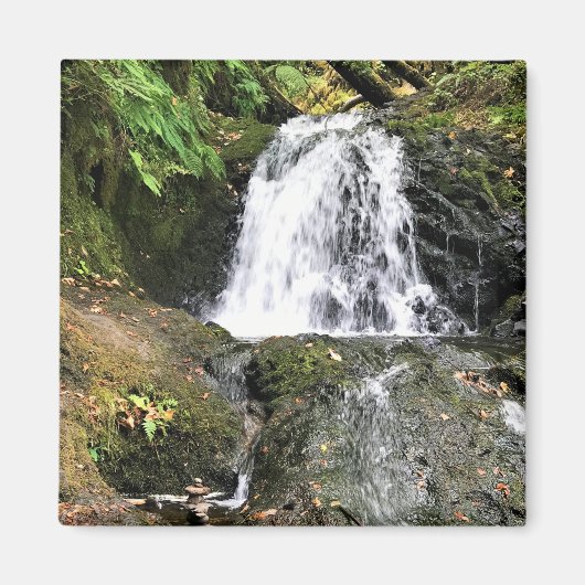 Herfsten van Shepperd, Oregon Magneet (Voorkant)