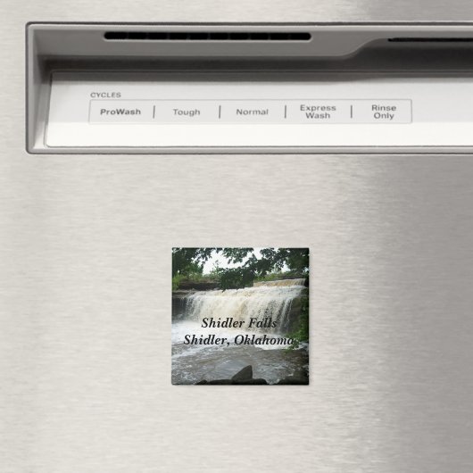 Herfsten van shidler magneet (Insitu (Vaatwasser))