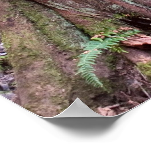 Herfsten van steenkool die op de brug lopen Druk Poster (Hoek)