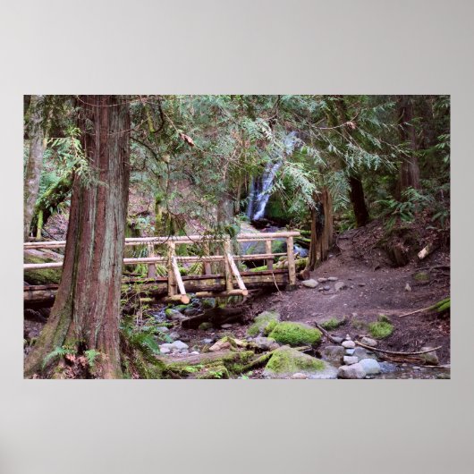 Herfsten van steenkool die op de brug lopen Druk Poster (Voorkant)