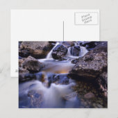 Herfsten van viskreek bij Steamboot Springs Colora Briefkaart (Voorkant / Achterkant)