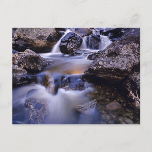 Herfsten van viskreek bij Steamboot Springs Colora Briefkaart (Voorkant)