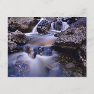 Herfsten van viskreek bij Steamboot Springs Colora Briefkaart