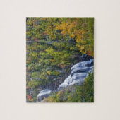 Herfsten van witwater in het Nationaal Nantahala Legpuzzel (Verticaal)