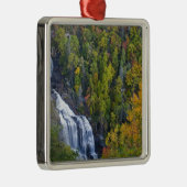 Herfsten van witwater in het Nationaal Nantahala Metalen Ornament (Rechts)