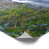 Herfsten van witwater in het Nationaal Nantahala Poster (Hoek)