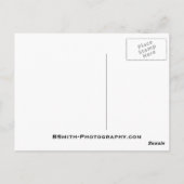 Herfsten van wolkenland briefkaart (Achterkant)