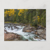 Herfsten van yaak in het najaar van het land briefkaart (Voorkant)