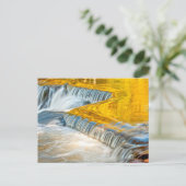 Herfsten voor obligaties die een neerslag geven briefkaart (Staand voorkant)