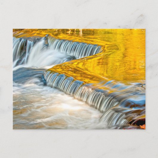 Herfsten voor obligaties die een neerslag geven briefkaart (Voorkant)