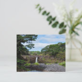 herfsten wai - ale in het park wailuku briefkaart (Staand voorkant)