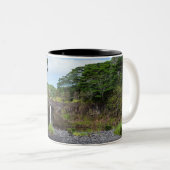 herfsten wai - ale in het park wailuku tweekleurige koffiemok (Voorkant rechts)