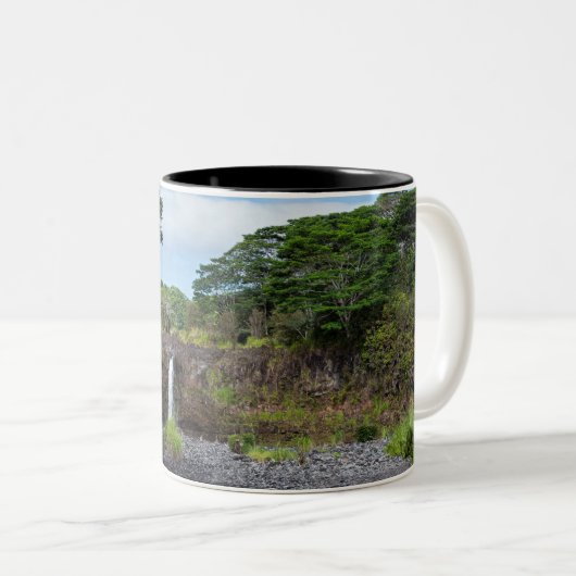 herfsten wai - ale in het park wailuku tweekleurige koffiemok (Voorkant rechts)