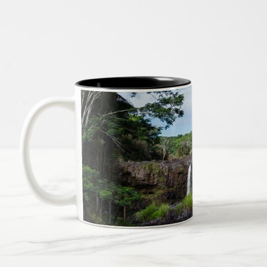 herfsten wai - ale in het park wailuku tweekleurige koffiemok (Links)