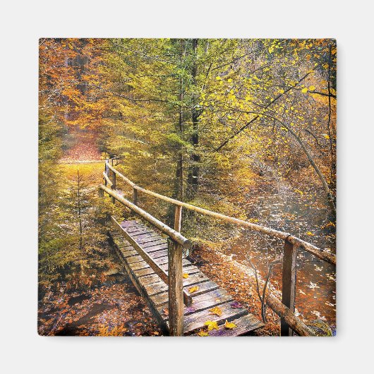 Herfstgebladerte, kleuren van herfst, magneet (Voorkant)