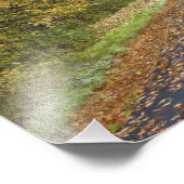 Herfstgeel langs de weg, Zuid-Vermont, VS Foto Afdruk (Hoek)