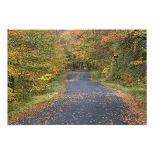 Herfstgeel langs de weg, Zuid-Vermont, VS Foto Afdruk