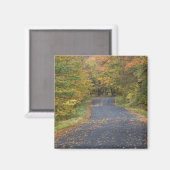 Herfstgeel langs de weg, Zuid-Vermont, VS Magneet (Voorkant / Achterkant)