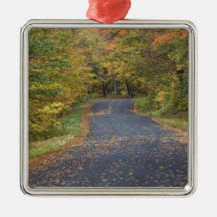 Herfstgeel langs de weg, Zuid-Vermont, VS Metalen Ornament