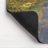 Herfstgeel langs de weg, Zuid-Vermont, VS Muismat (Hoek)