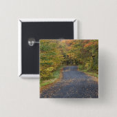 Herfstgeel langs de weg, Zuid-Vermont, VS Vierkante Button 5,1 Cm (Voorkant /achterkant)
