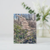 Herfstgelukzaligheid. Briefkaart (Staand voorkant)