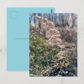 Herfstgelukzaligheid. Briefkaart (Voorkant / Achterkant)