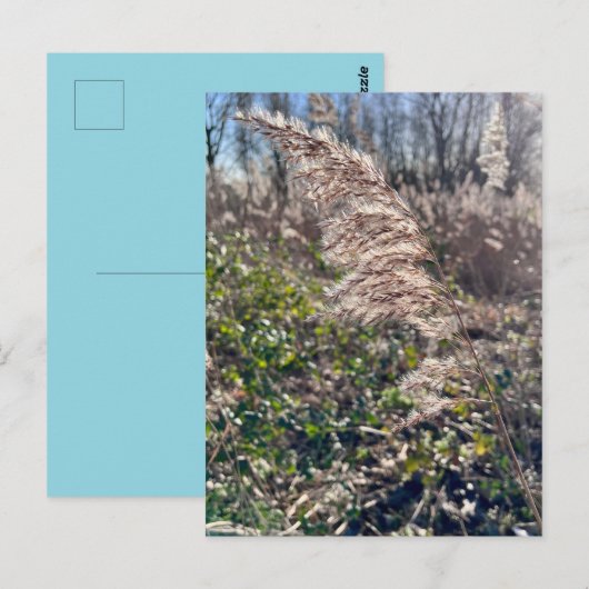 Herfstgelukzaligheid. Briefkaart (Voorkant / Achterkant)