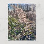 Herfstgelukzaligheid. Briefkaart (Voorkant)