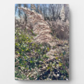 Herfstgelukzaligheid. Fotoplaat (voorkant)