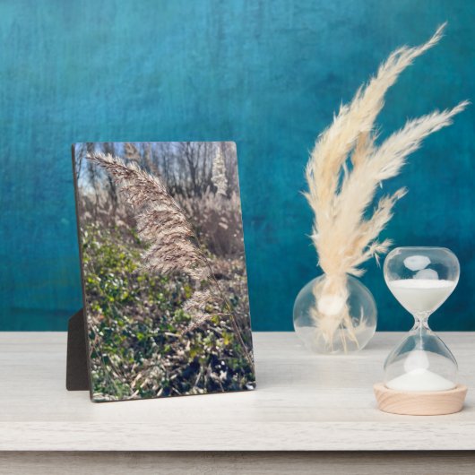 Herfstgelukzaligheid. Fotoplaat (Zijkant)