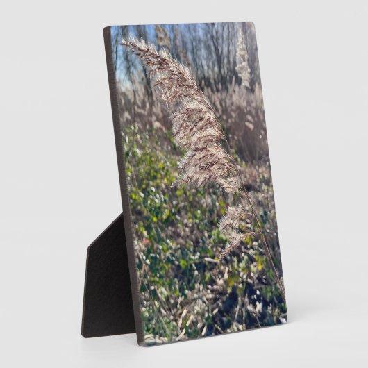 Herfstgelukzaligheid. Fotoplaat (Zijkant)