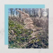 Herfstgelukzaligheid. Kaart (Voorkant / Achterkant)