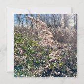 Herfstgelukzaligheid. Kaart (Voorkant)