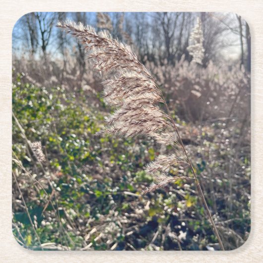 Herfstgelukzaligheid. Kartonnen Onderzetters (Voorkant)