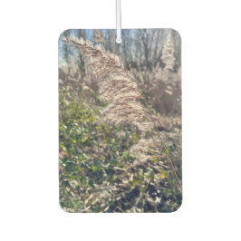 Herfstgelukzaligheid. Luchtverfrisser