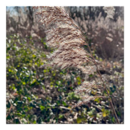 Herfstgelukzaligheid. Perfect Poster