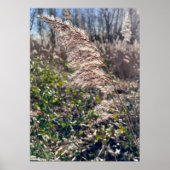 Herfstgelukzaligheid. Poster (Voorkant)