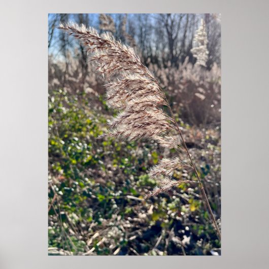 Herfstgelukzaligheid. Poster (Voorkant)